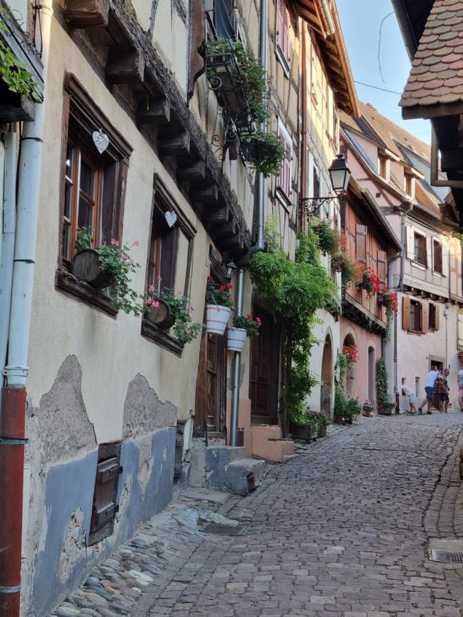 L'Ourson Daire Colmar Dış mekan fotoğraf