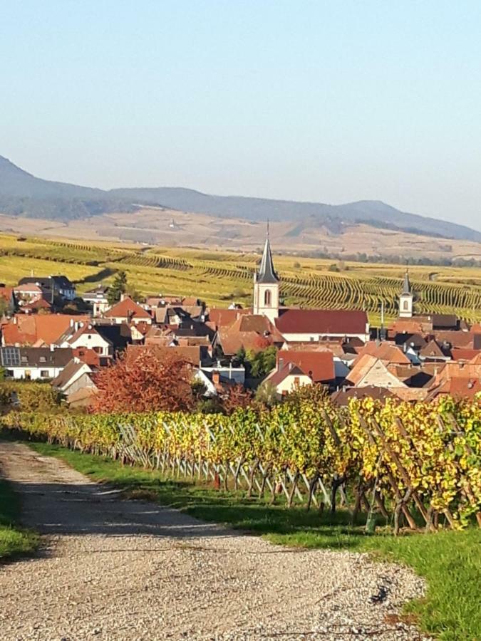 L'Ourson Daire Colmar Dış mekan fotoğraf